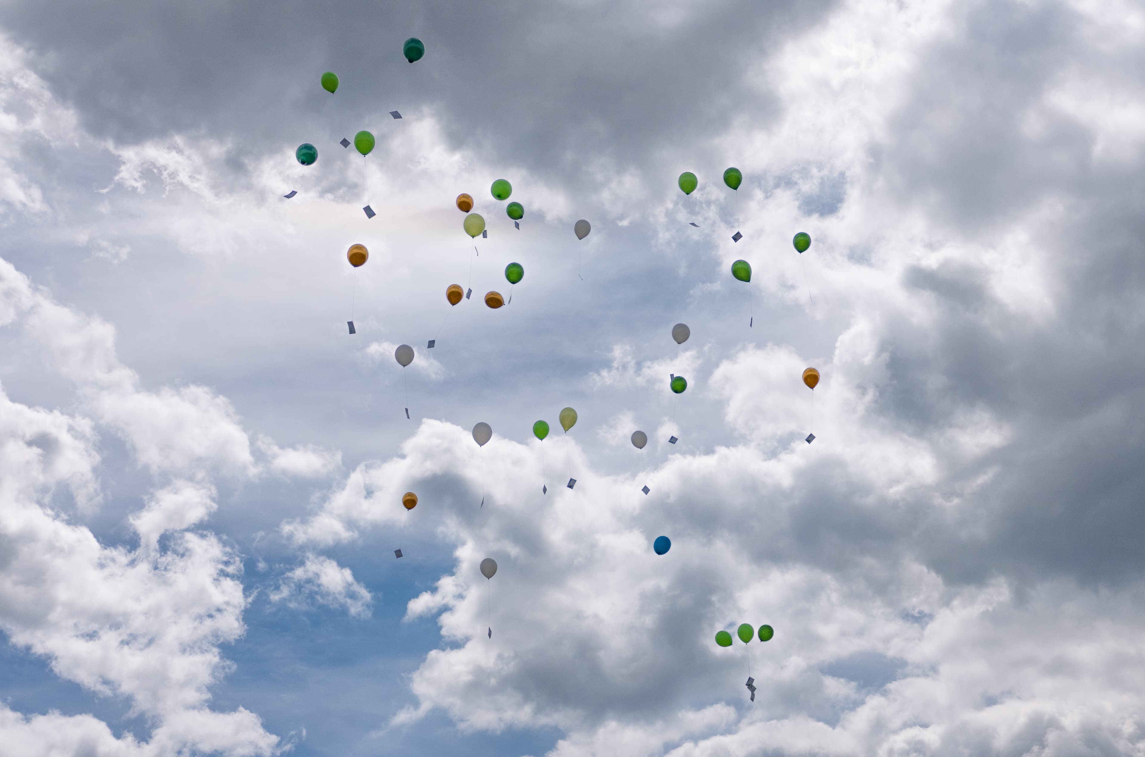 Bild in Bilder-Galerie