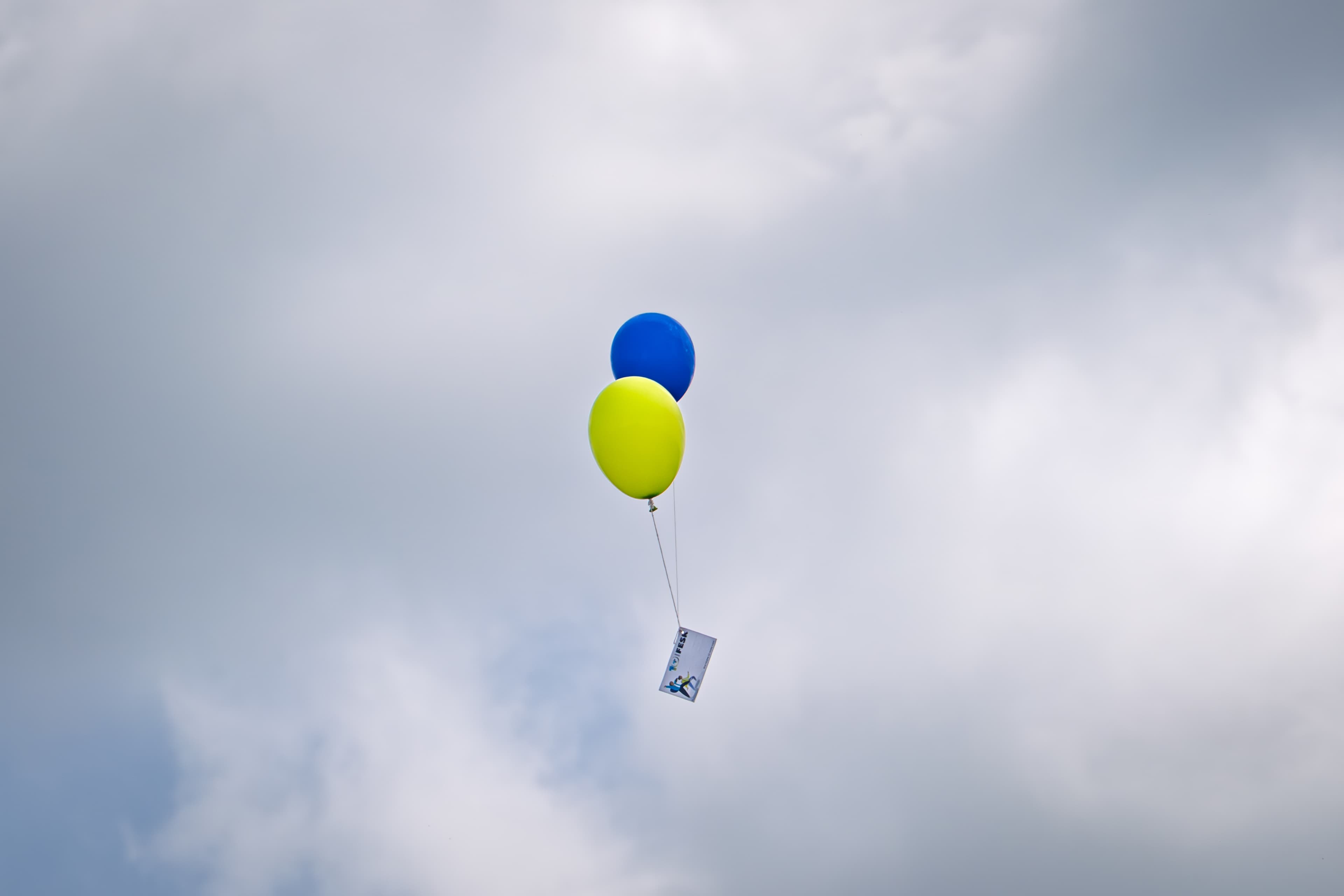 Bild in Bilder-Galerie